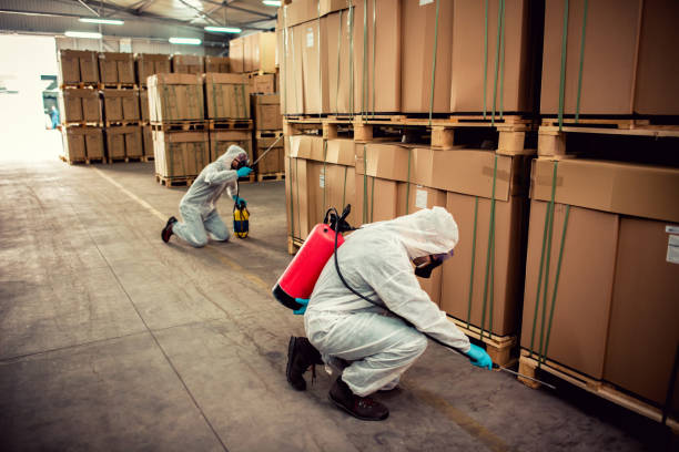 Trusted Buffalo, NY Pest Control Experts