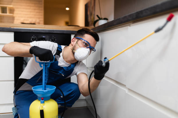 Best Pest Removal Services  in Buffalo, NY