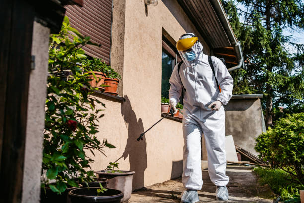 Best Cockroach Control Services  in Buffalo, NY