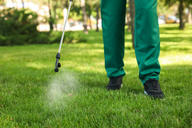 Wasp Removal Services in Buffalo, NY
