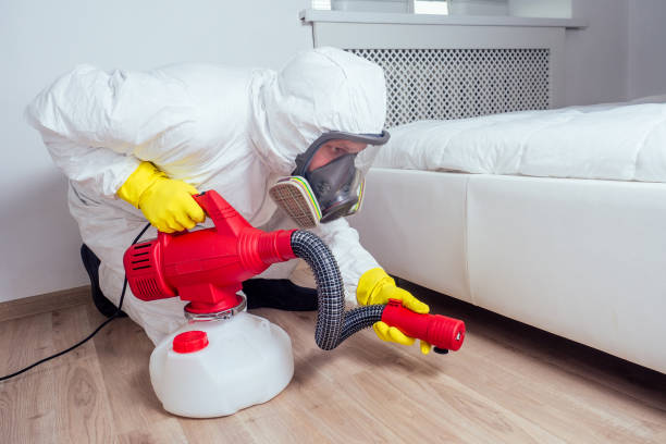 Best Local Pest Control Services  in Buffalo, NY