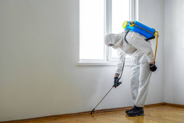 Pest Control for Restaurants in Buffalo, NY