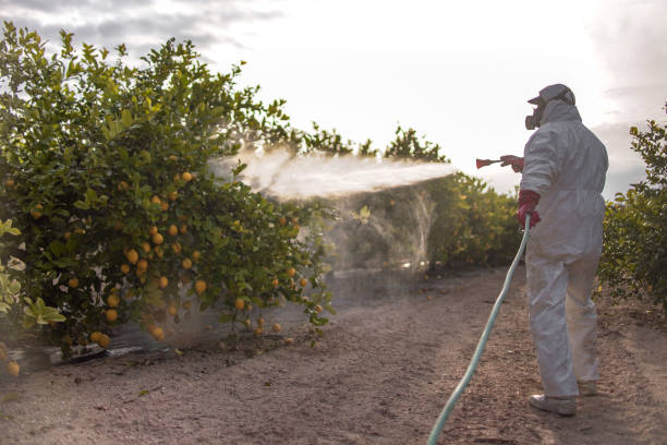 Best Termite Control Services  in Buffalo, NY