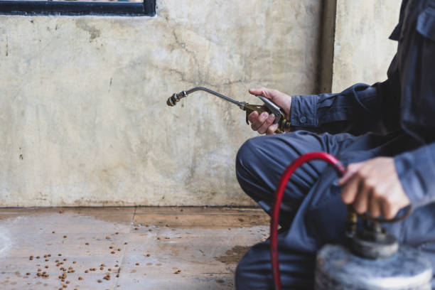 Pest Prevention Services in Buffalo, NY