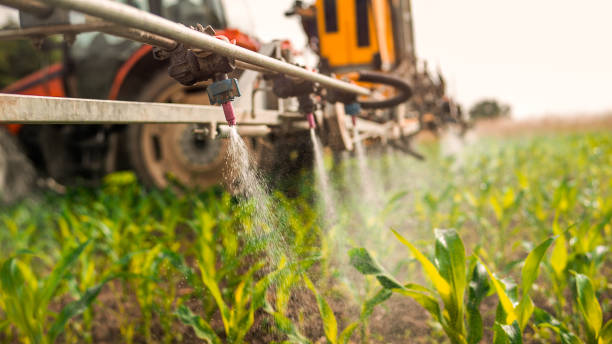 Best Ant Control Services  in Buffalo, NY